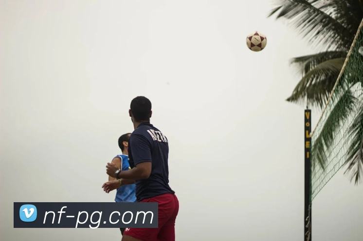 pg电子平台生态图